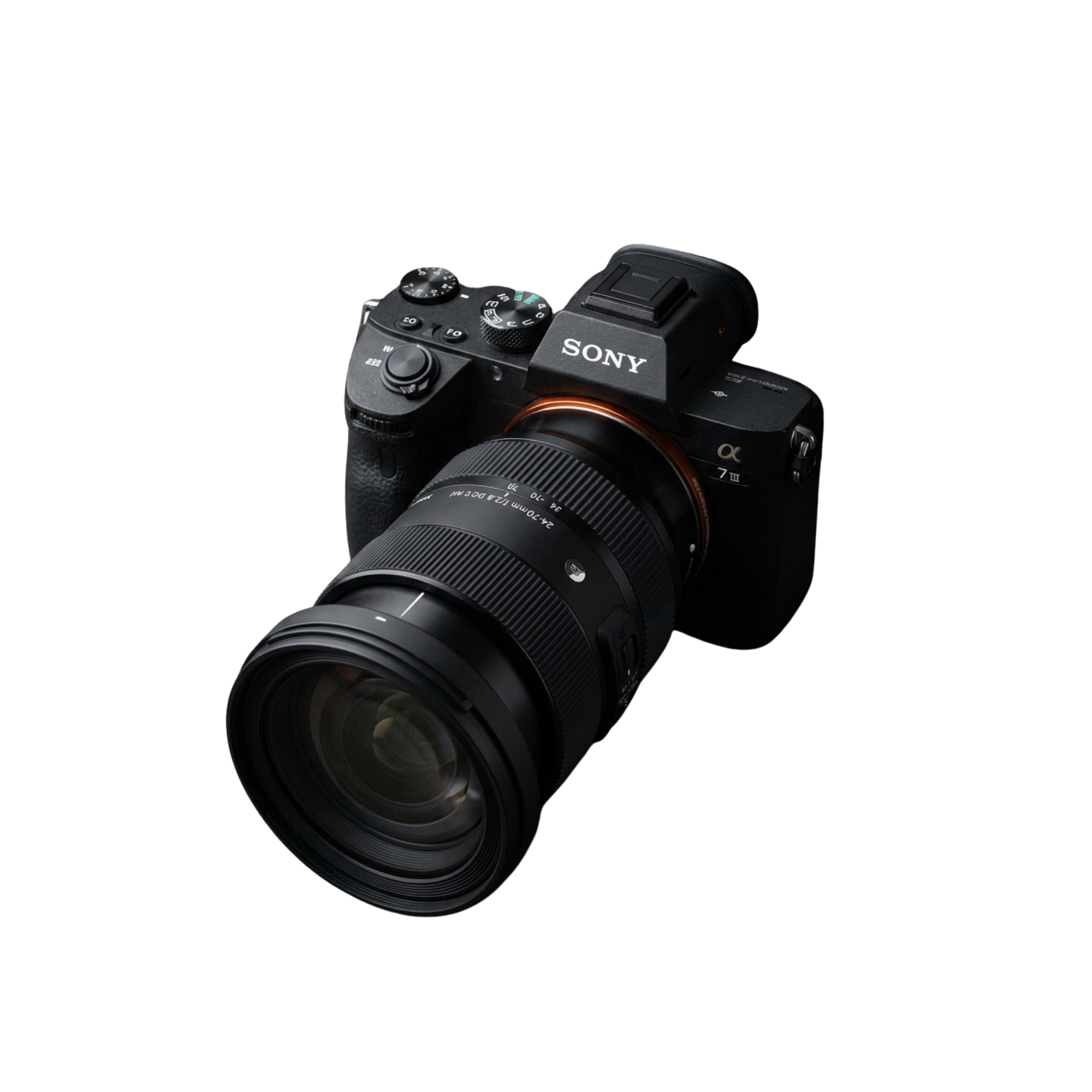 Sony Alpha 7 III mit Sigma 24-70mm f/2.8
